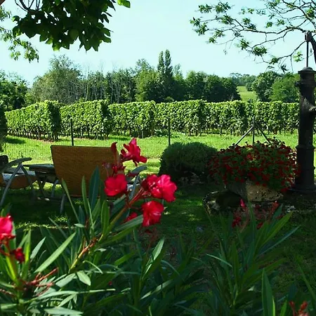 Bleu Raisin 3* Les Salles-de-Castillon