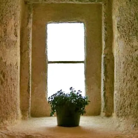 Bleu Raisin Bed and breakfast Les Salles-de-Castillon