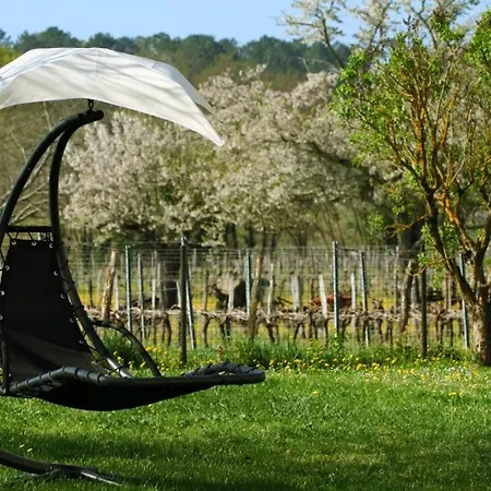 Bed and breakfast Bleu Raisin 3*