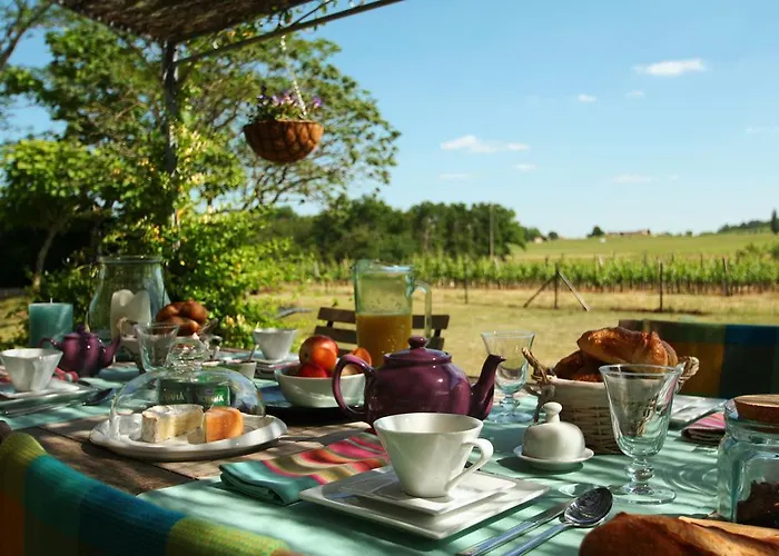 Bleu Raisin Bed & Breakfast Les Salles-de-Castillon