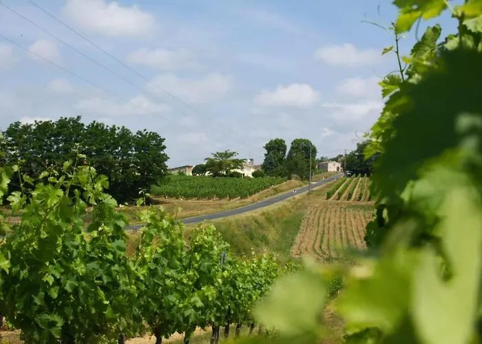 Bed & Breakfast Bleu Raisin